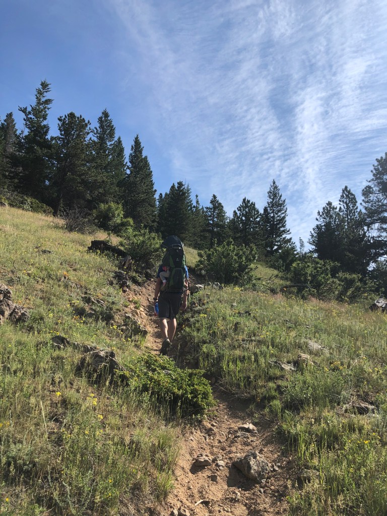 Hollowell Park in Rocky Mountain National Park. To Mill Creek Basin. Loop trail