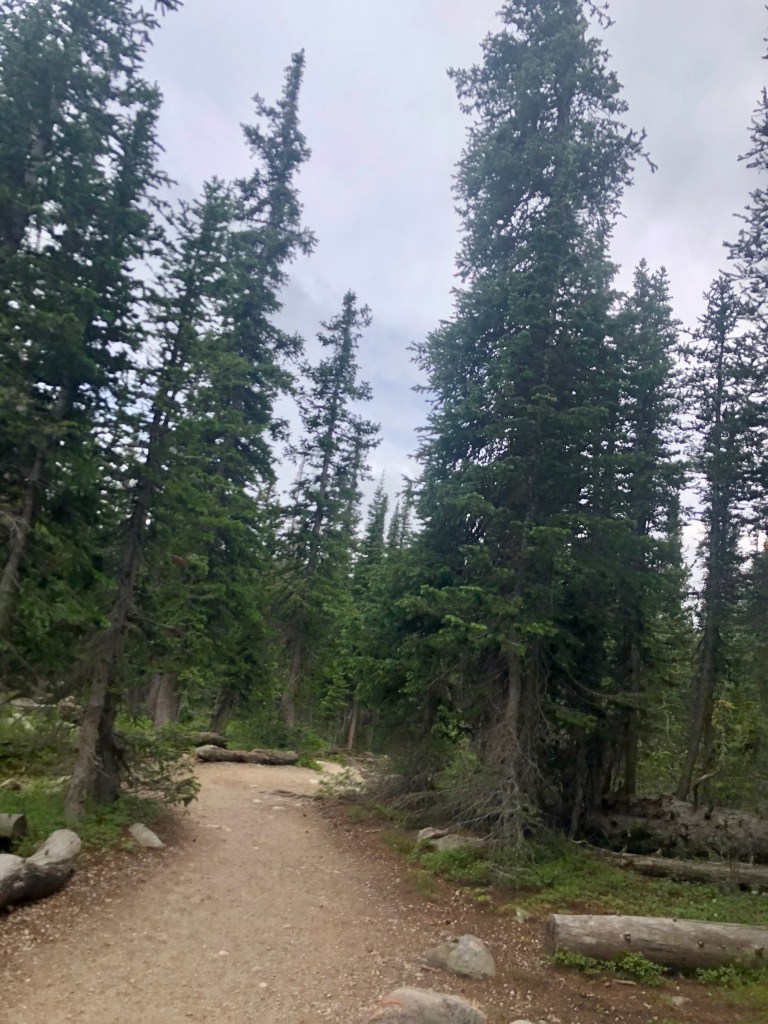 Indian Peaks Wilderness. Brainard Lakes Recreation Area. Long Lake trailhead. Hiking Colorado.