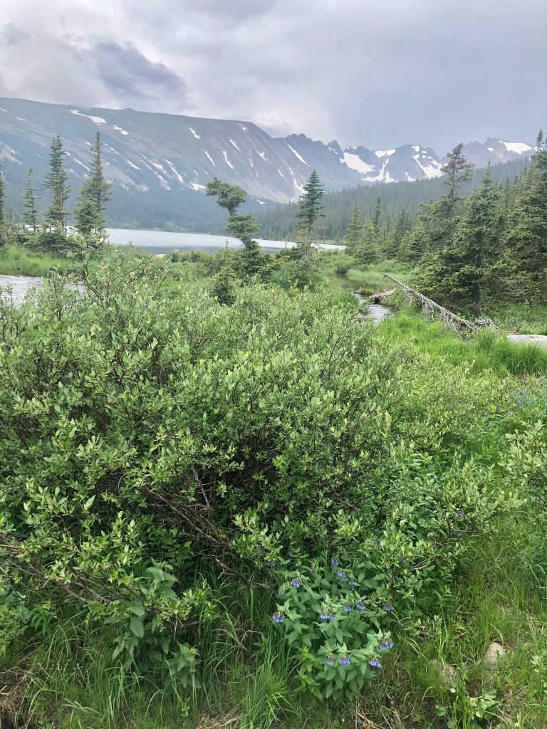 Indian Peaks Wilderness. Brainard Lakes Recreation Area. Long Lake trailhead. Hiking Colorado.