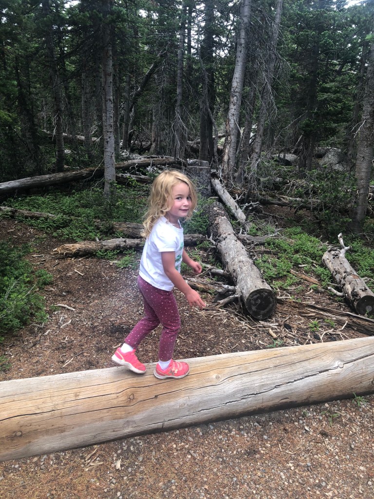 Indian Peaks Wilderness. Brainard Lakes Recreation Area. Long Lake trailhead. Hiking Colorado.
