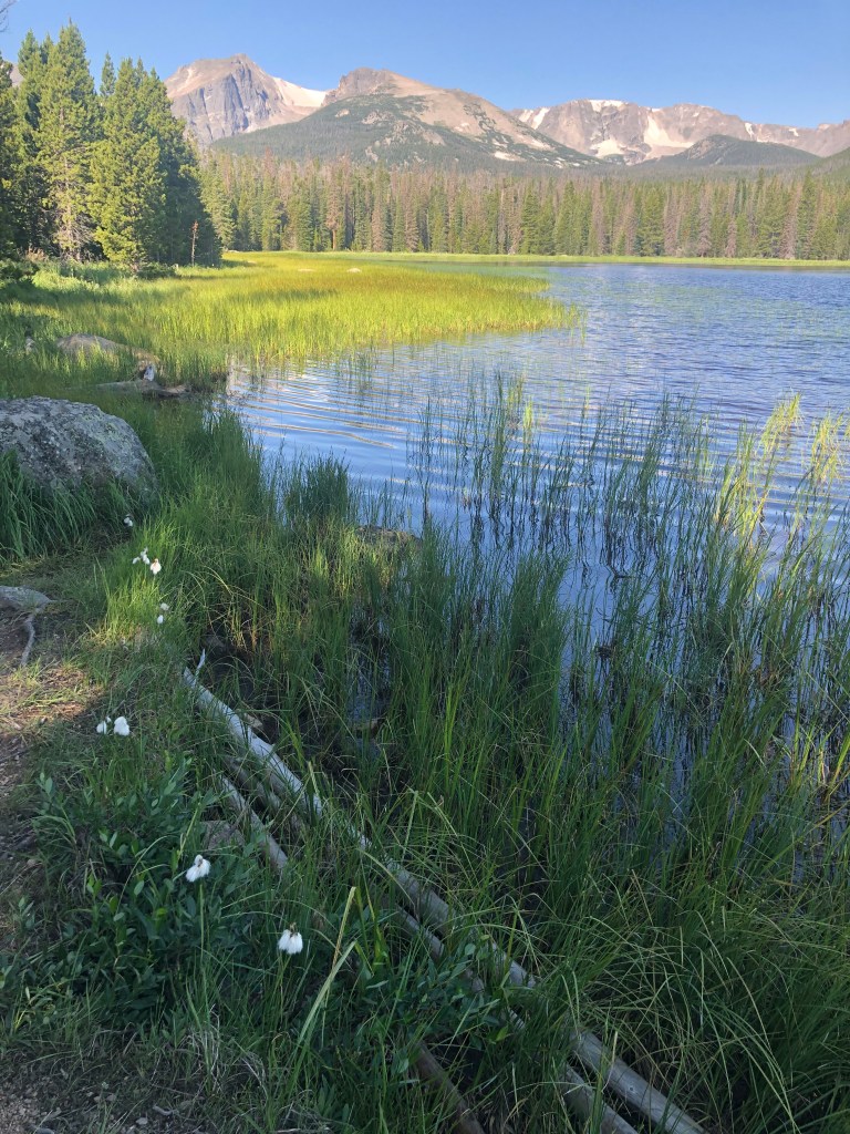 Bierstadt Lake hike in Rocky Mountain National Park.