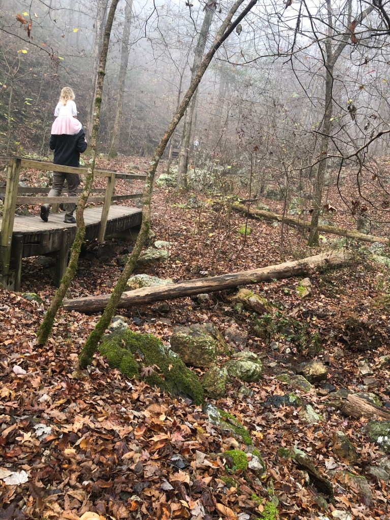 Lake Catherine Arkansas State Park. Falls Branch Trail