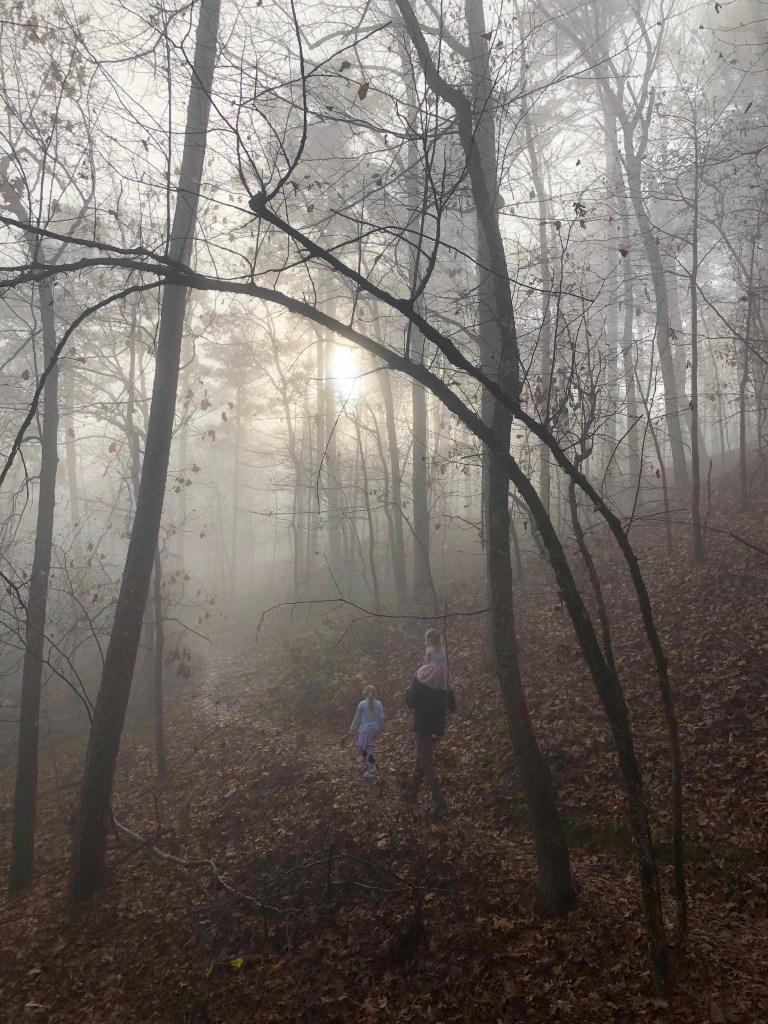 Lake Catherine Arkansas State Park. Falls Branch Trail