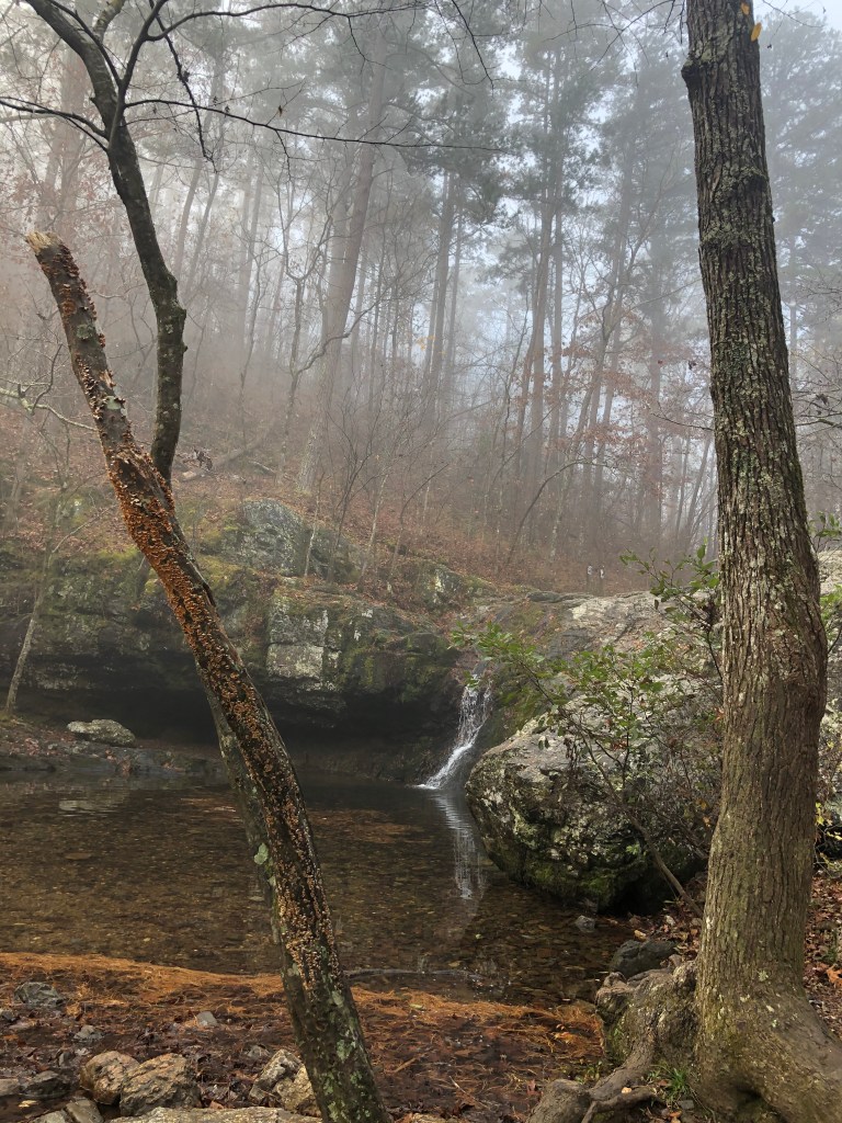 Lake Catherine Arkansas State Park. Falls Branch Trail