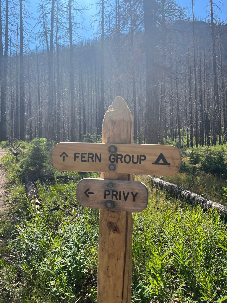 Fern Lake campground and Privy