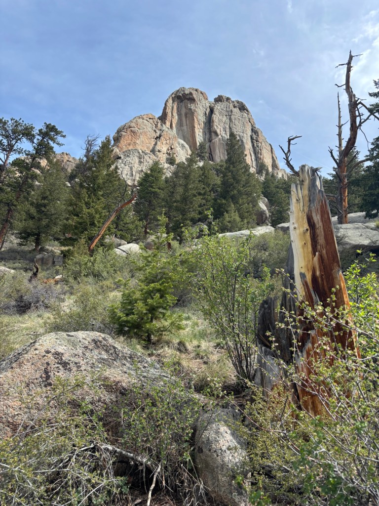 Twin Owls Rock Formations Rocky Mountain National Park
